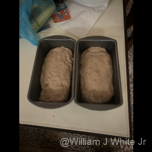 IMG_0572_original