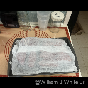 IMG_0862_800px_original
